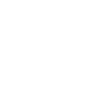 tyre icon